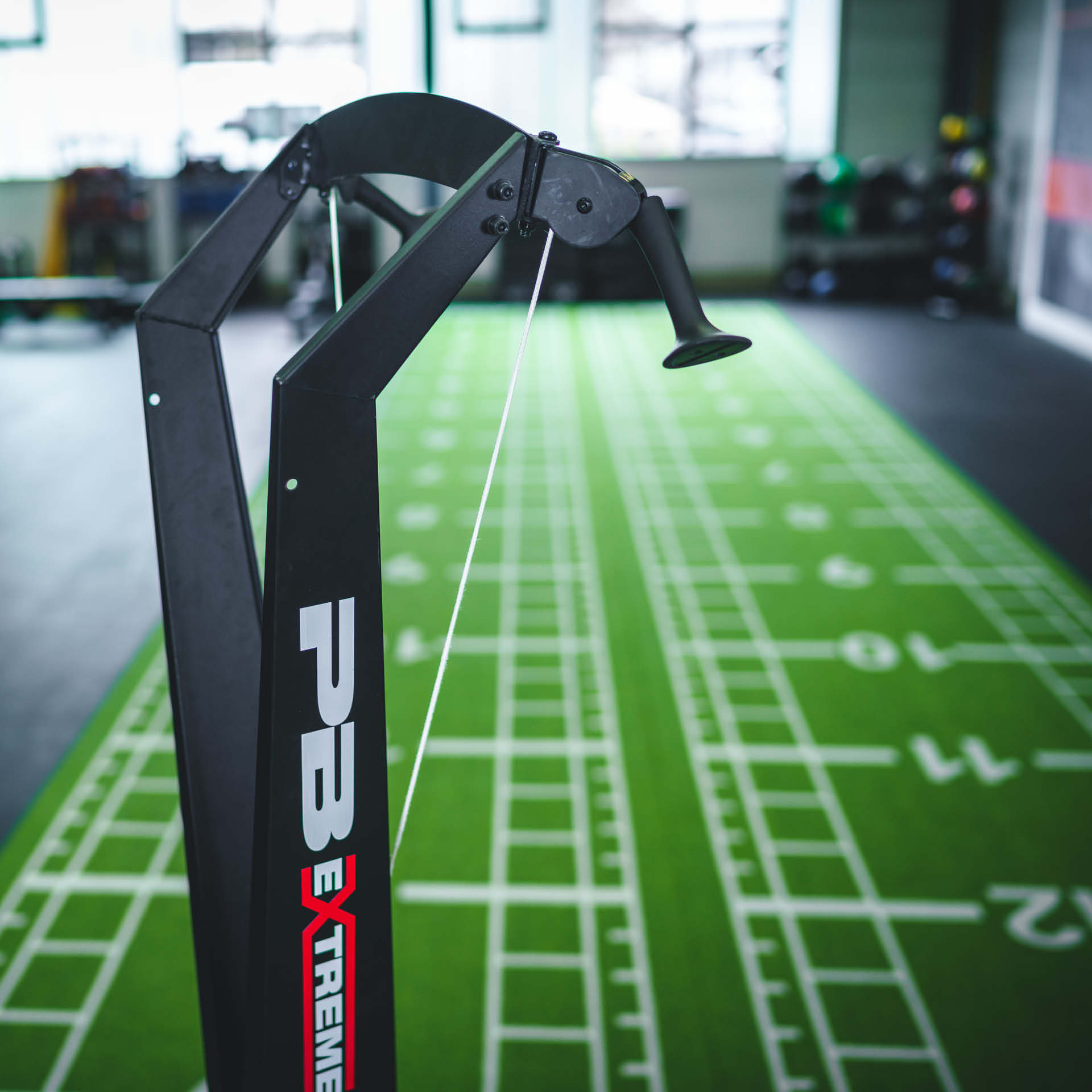 PB Extreme Ski Trainer PB Extreme Ski Trainer