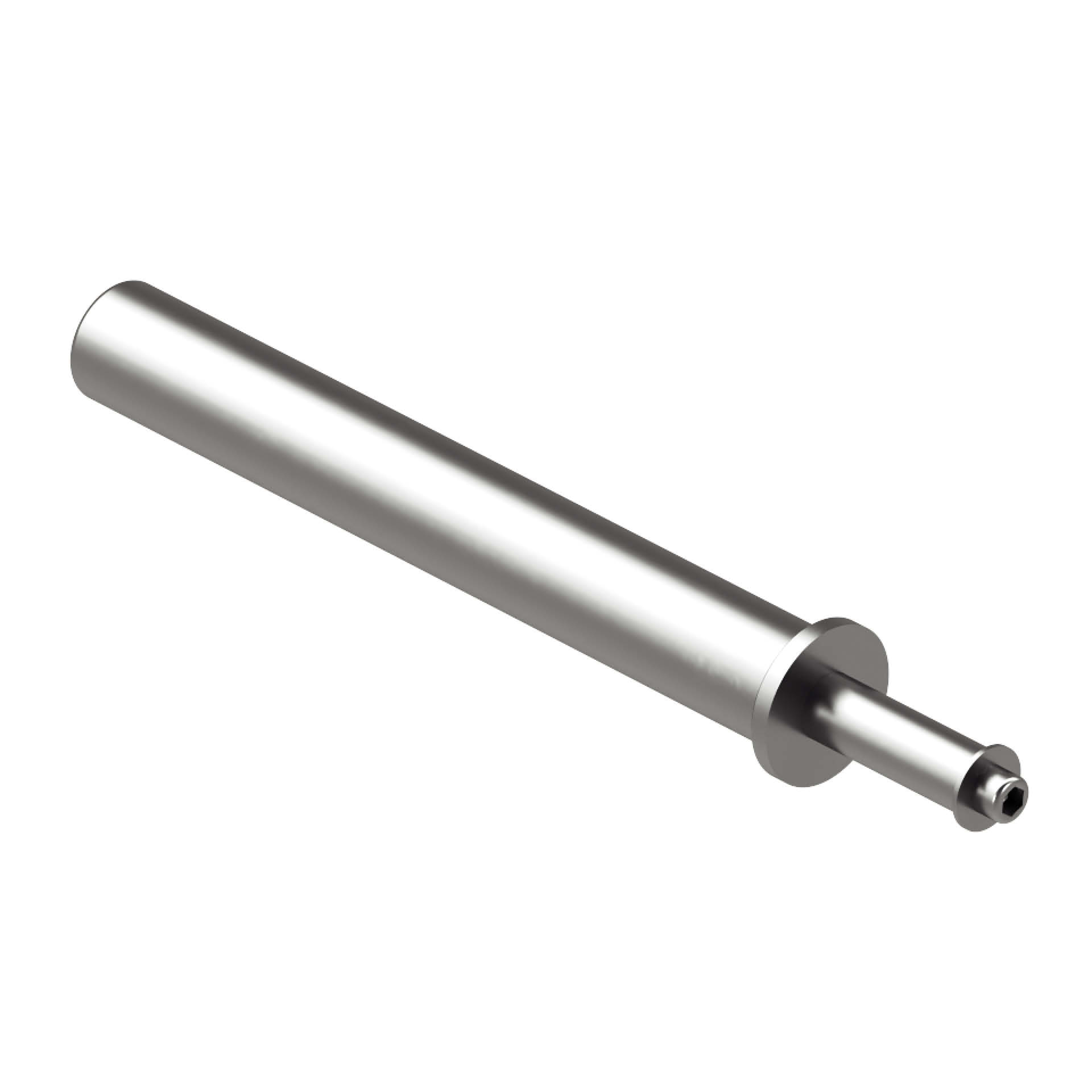 Perform Better Rig weight plates pin (accessory) Perform Better Rig weight plates pin (accessory)