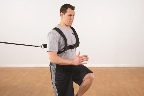 Pro Padded Harness Schultergeschirr Pro Padded Harness Schultergeschirr