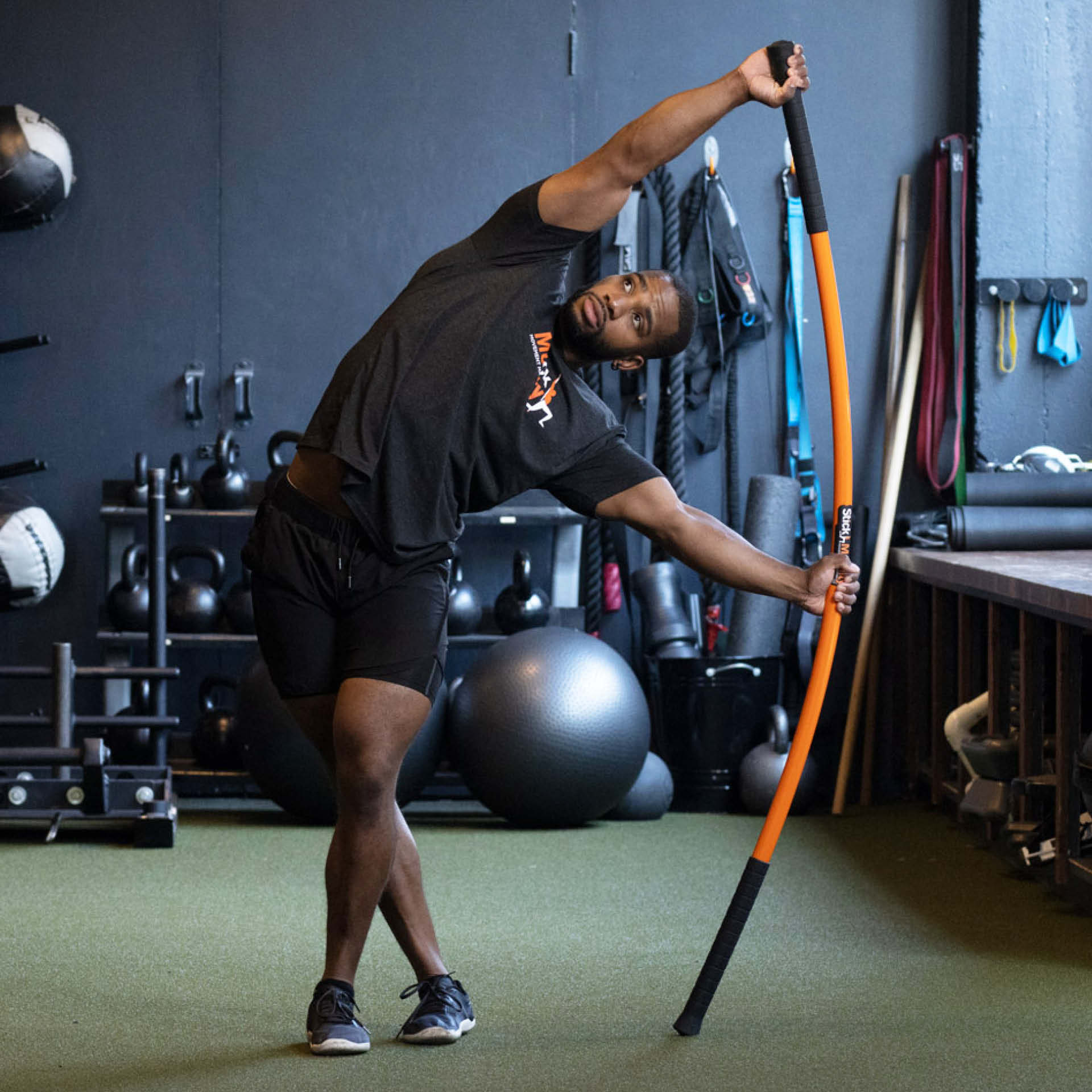 Mobility Stick Mobility Stick
