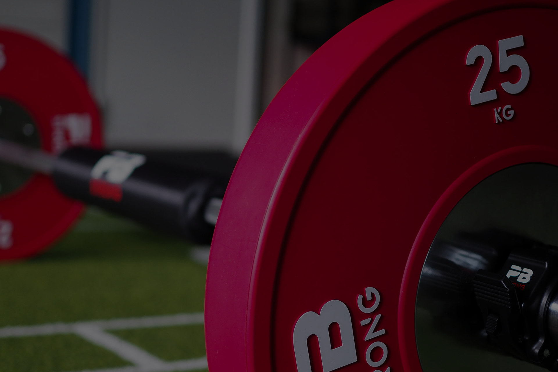 banner_category_weight plates banner_category_weight plates