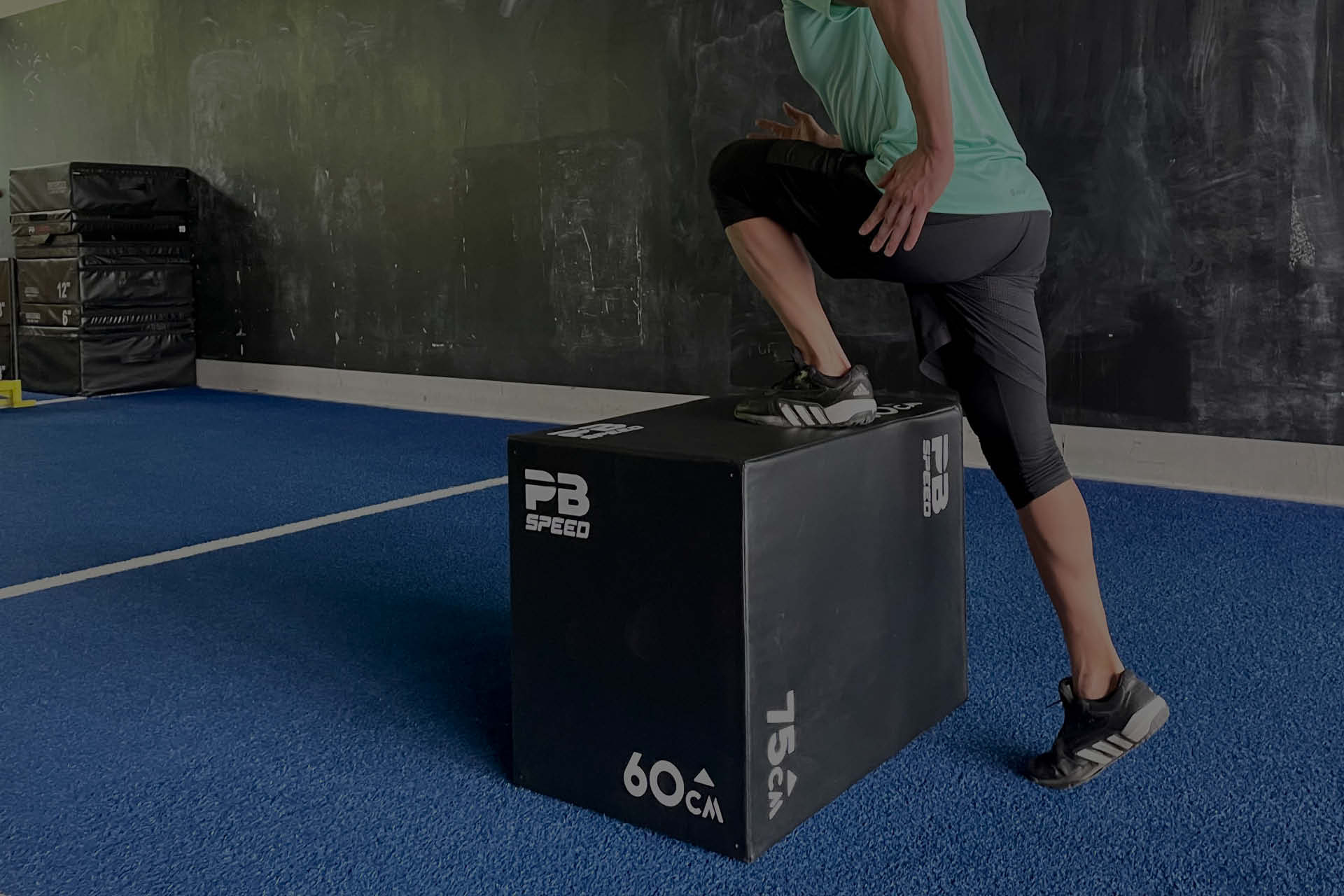 plyobox_header plyobox_header