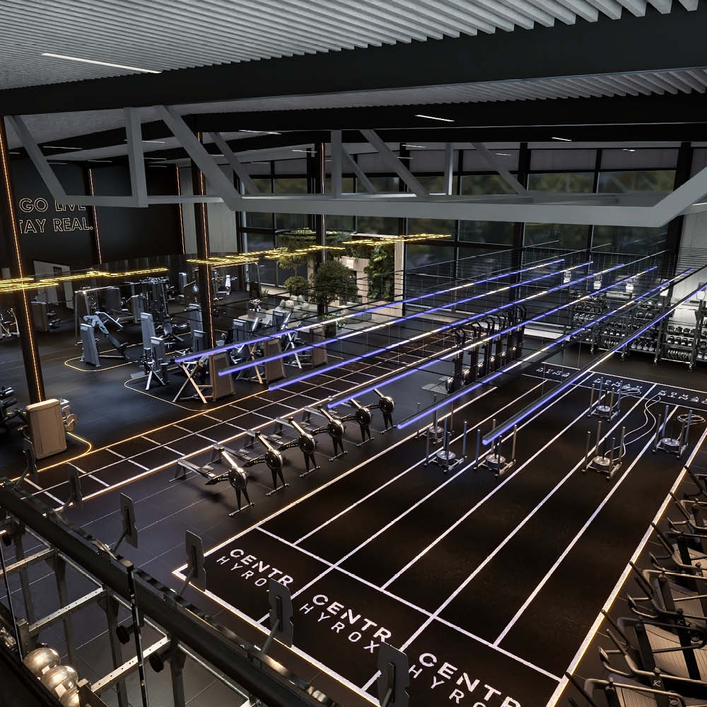 3D Visualizations