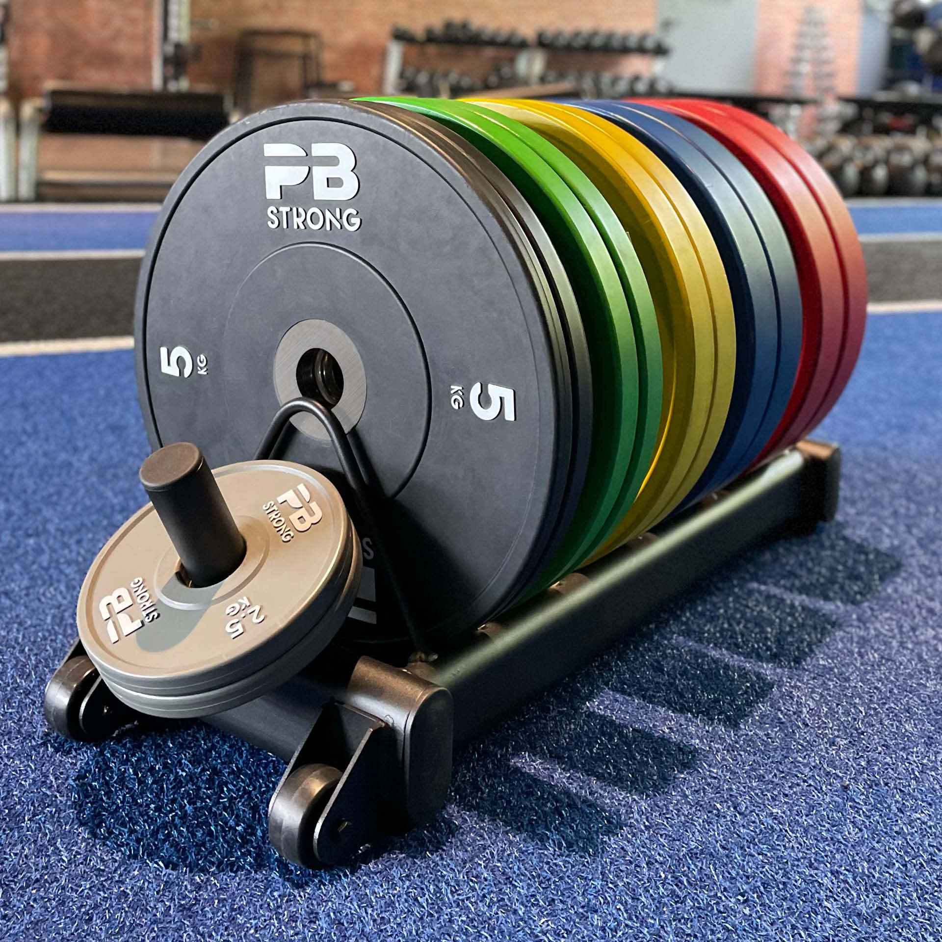 PB Strong Scheibenablage rollbar PB Strong Scheibenablage rollbar