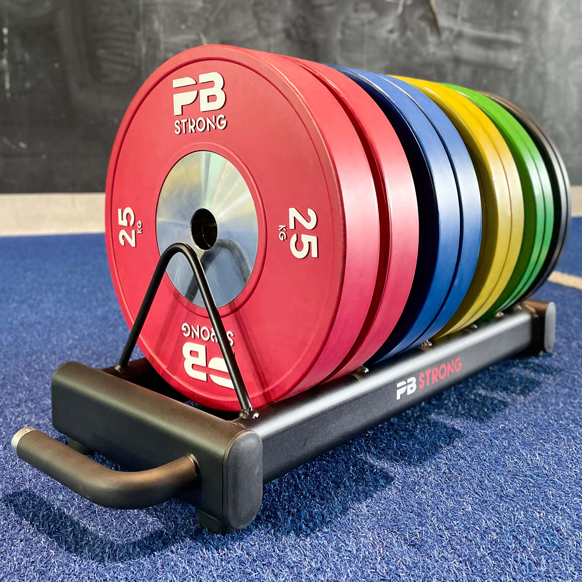 PB Strong Scheibenablage rollbar PB Strong Scheibenablage rollbar