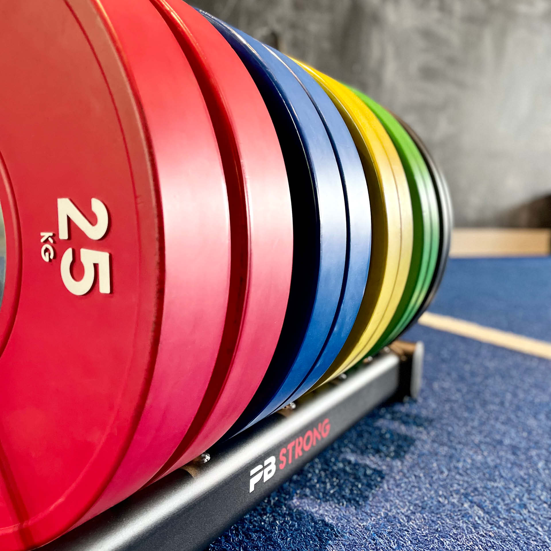 PB Strong Scheibenablage rollbar PB Strong Scheibenablage rollbar