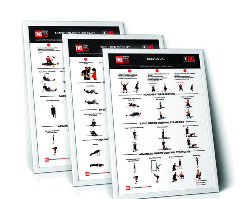 Buy FMS Poster Set | PERFORM BETTER